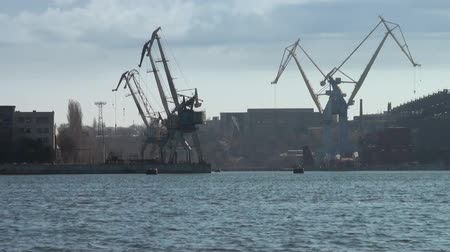 Cranes river panorama plant