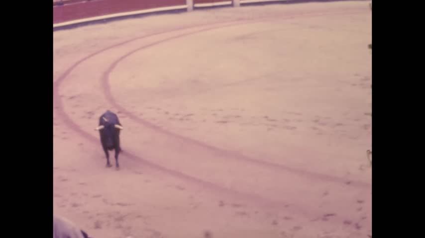 9,831 Index Stock Video HD Video and Video Clips